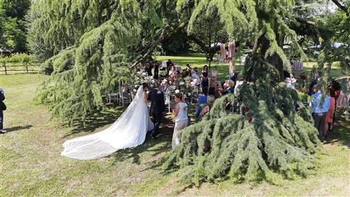 Ingresso di una sposa, cerimonia allestita sotto un albero